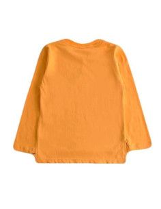 Camiseta manga larga traffic niño  2