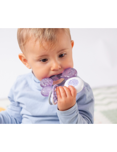 Sonajero de frio [product.brand] 1 - Ropa para Bebé | dyley | 